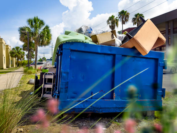 Professional Junk Removal in Lookout Mountain, TN